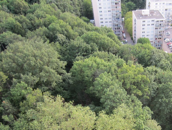 Il me semble que la fournaise serait moins pénible aux Battières